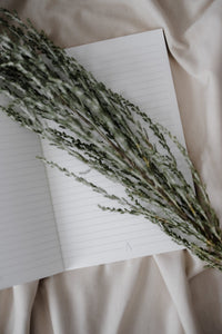 Journal - Allureé